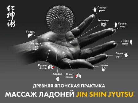 Массажное кресло FUJIMO GURU2 Серый Массажное кресло FUJIMO GURU2 Серый